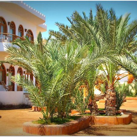 Shams Hotel & Dive Centre Dahab Luaran gambar
